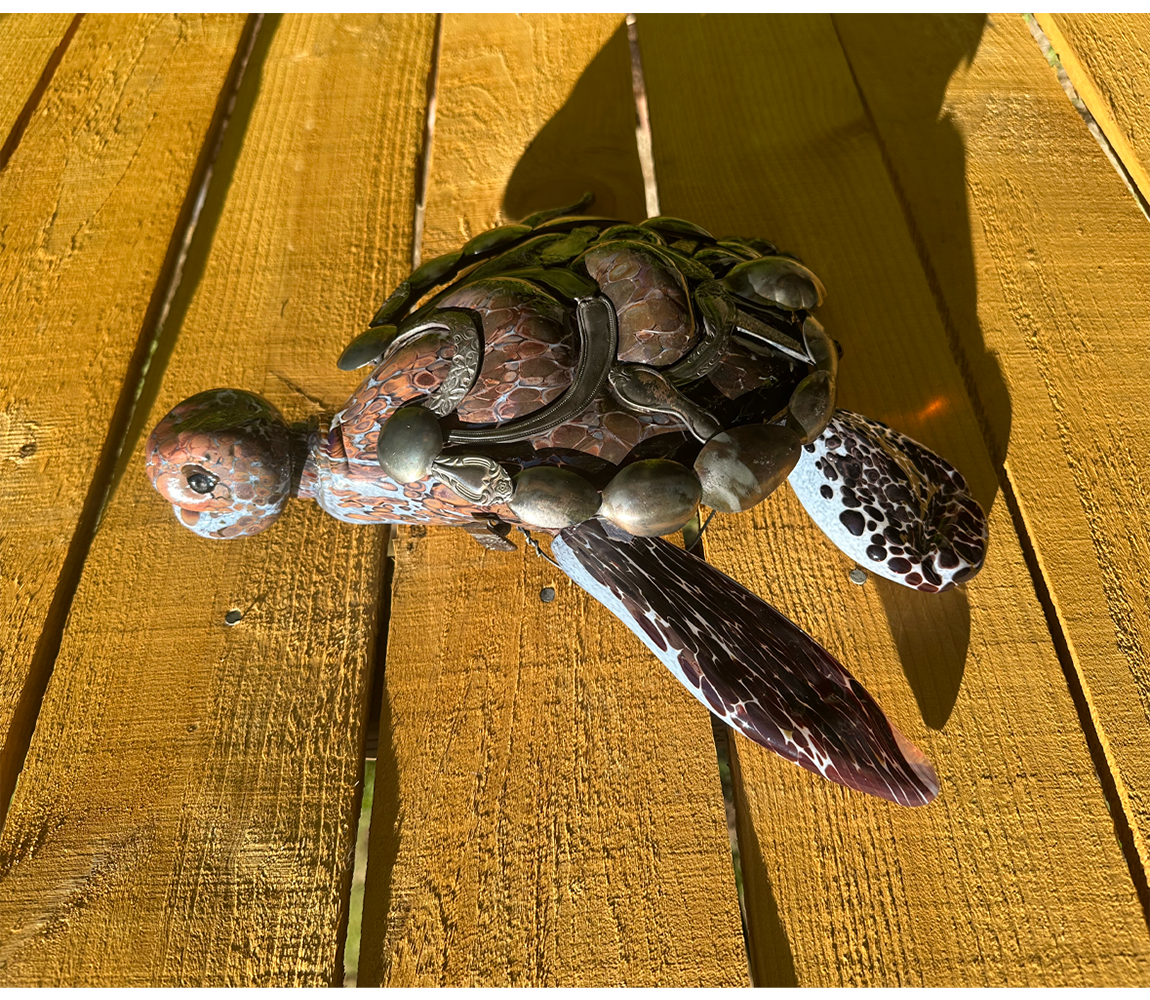 Small Brown Turtle - Eileen Lagasse